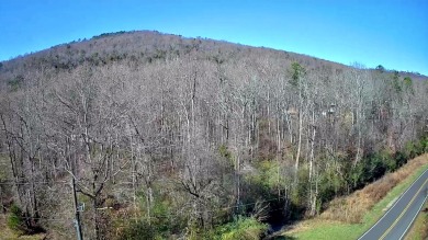 Imagine waking up every day to breathtaking views of Lookout on Trenton Golf Club in Georgia - for sale on GolfHomes.com, golf home, golf lot