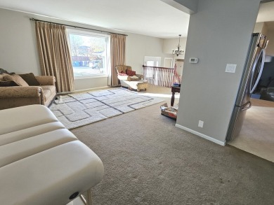 DEALS LIKE THIS ARE HARD TO COME BY!  HERE IS YOUR chance to on Silver Lake Country Club in Illinois - for sale on GolfHomes.com, golf home, golf lot