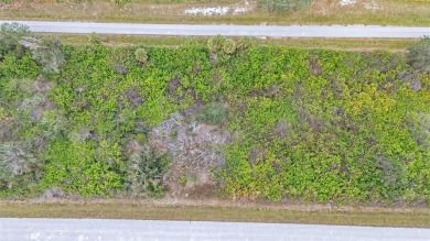 Prime Commercial Land on Gulfstream Blvd - High Visibility on Duffys Golf Center in Florida - for sale on GolfHomes.com, golf home, golf lot