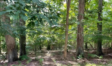 An exceptional opportunity to build your custom home in the on The Eagle Pointe Golf Resort in Indiana - for sale on GolfHomes.com, golf home, golf lot