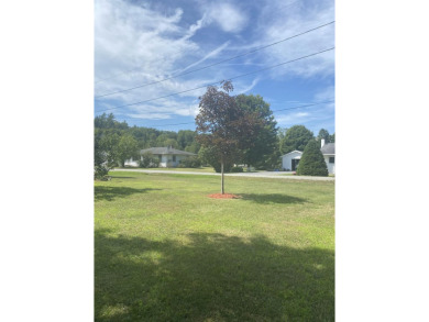 Located in the quaint village of Wells, near one of Vermont's on Lake St. Catherine Country Club in Vermont - for sale on GolfHomes.com, golf home, golf lot