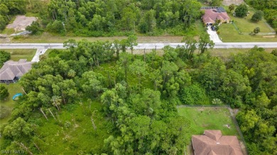 Invest your money in a highly desirable, fast-growing location on Mirror Lakes Golf Club in Florida - for sale on GolfHomes.com, golf home, golf lot