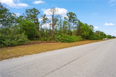 Invest your money in a highly desirable, fast-growing location on Mirror Lakes Golf Club in Florida - for sale on GolfHomes.com, golf home, golf lot