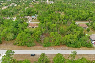 Invest your money in a highly desirable, fast-growing location on Mirror Lakes Golf Club in Florida - for sale on GolfHomes.com, golf home, golf lot