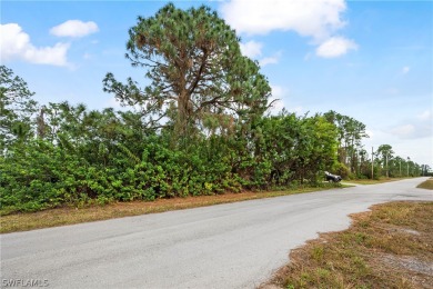 Invest your money in a highly desirable, fast-growing location on Mirror Lakes Golf Club in Florida - for sale on GolfHomes.com, golf home, golf lot