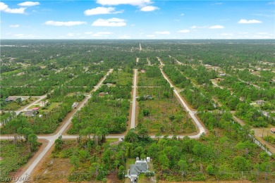 Invest your money in a highly desirable, fast-growing location on Mirror Lakes Golf Club in Florida - for sale on GolfHomes.com, golf home, golf lot