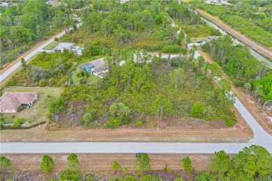 Oversized lot!! Invest your money in a highly desirable on Mirror Lakes Golf Club in Florida - for sale on GolfHomes.com, golf home, golf lot