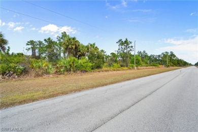 Oversized lot!! Invest your money in a highly desirable on Mirror Lakes Golf Club in Florida - for sale on GolfHomes.com, golf home, golf lot