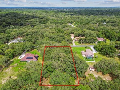 Welcome to 292 N Indianapolis Ave--a unique opportunity to own a on Citrus Hills Golf Club in Florida - for sale on GolfHomes.com, golf home, golf lot