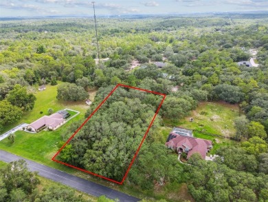 Welcome to 292 N Indianapolis Ave--a unique opportunity to own a on Citrus Hills Golf Club in Florida - for sale on GolfHomes.com, golf home, golf lot