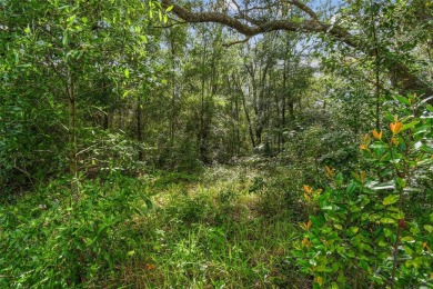 Welcome to 292 N Indianapolis Ave--a unique opportunity to own a on Citrus Hills Golf Club in Florida - for sale on GolfHomes.com, golf home, golf lot