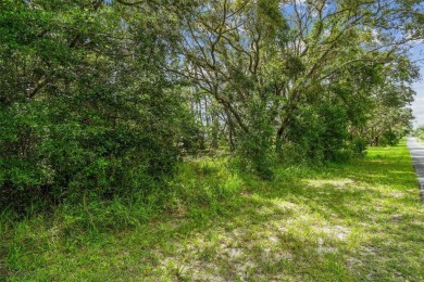 Welcome to 292 N Indianapolis Ave--a unique opportunity to own a on Citrus Hills Golf Club in Florida - for sale on GolfHomes.com, golf home, golf lot