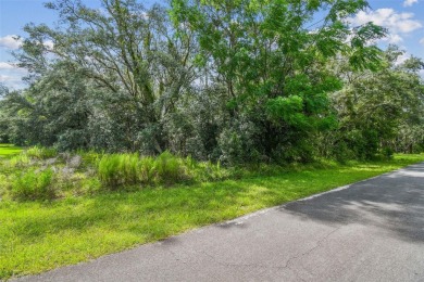 Welcome to 292 N Indianapolis Ave--a unique opportunity to own a on Citrus Hills Golf Club in Florida - for sale on GolfHomes.com, golf home, golf lot