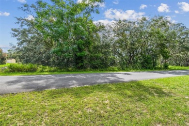 Welcome to 292 N Indianapolis Ave--a unique opportunity to own a on Citrus Hills Golf Club in Florida - for sale on GolfHomes.com, golf home, golf lot