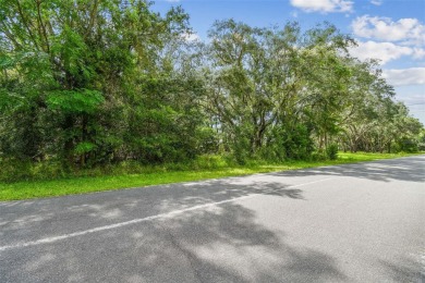 Welcome to 292 N Indianapolis Ave--a unique opportunity to own a on Citrus Hills Golf Club in Florida - for sale on GolfHomes.com, golf home, golf lot