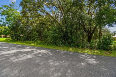 Welcome to 292 N Indianapolis Ave--a unique opportunity to own a on Citrus Hills Golf Club in Florida - for sale on GolfHomes.com, golf home, golf lot
