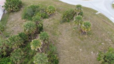 Build Your Dream Home in Rotonda Heights - A Spacious .33-Acre on Rotonda Golf and Country Club The Palms Course in Florida - for sale on GolfHomes.com, golf home, golf lot