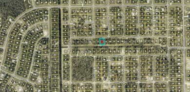 Excellent opportunity in an area with new construction homes on Mirror Lakes Golf Club in Florida - for sale on GolfHomes.com, golf home, golf lot