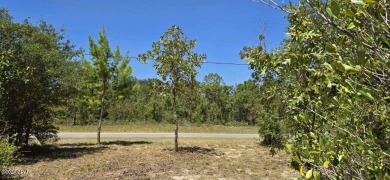 Discover the perfect opportunity to build your dream home on on Sunny Hills Golf and Country Club in Florida - for sale on GolfHomes.com, golf home, golf lot