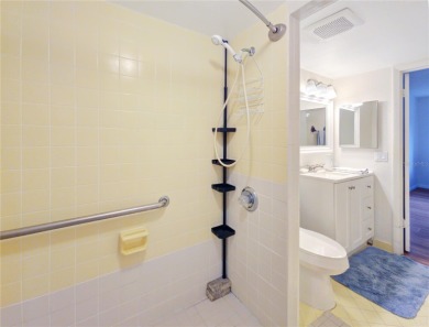 Beautifully Updated 1st-Floor Condo with Golf, Lake & Greenway on Country Club At Silver Springs Shores in Florida - for sale on GolfHomes.com, golf home, golf lot