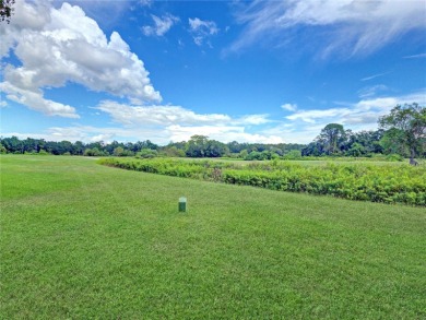 Beautifully Updated 1st-Floor Condo with Golf, Lake & Greenway on Country Club At Silver Springs Shores in Florida - for sale on GolfHomes.com, golf home, golf lot