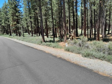 CREEK SIDE HAVEN.ONE OF NAKOMA'S BEST  LOTS.  FLAT EASY BUILD on Nakoma Golf Resort in California - for sale on GolfHomes.com, golf home, golf lot