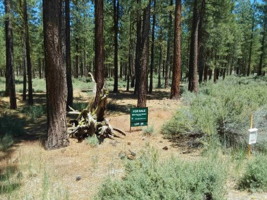 CREEK SIDE HAVEN.ONE OF NAKOMA'S BEST  LOTS.  FLAT EASY BUILD on Nakoma Golf Resort in California - for sale on GolfHomes.com, golf home, golf lot
