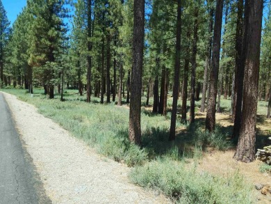 CREEK SIDE HAVEN.ONE OF NAKOMA'S BEST  LOTS.  FLAT EASY BUILD on Nakoma Golf Resort in California - for sale on GolfHomes.com, golf home, golf lot
