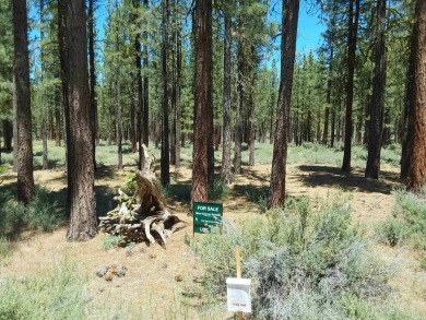 CREEK SIDE HAVEN.ONE OF NAKOMA'S BEST  LOTS.  FLAT EASY BUILD on Nakoma Golf Resort in California - for sale on GolfHomes.com, golf home, golf lot