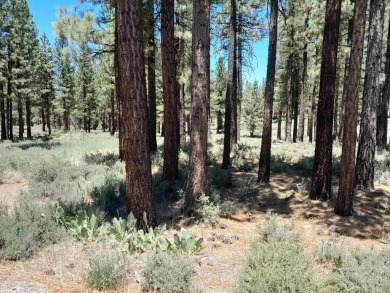 CREEK SIDE HAVEN.ONE OF NAKOMA'S BEST  LOTS.  FLAT EASY BUILD on Nakoma Golf Resort in California - for sale on GolfHomes.com, golf home, golf lot