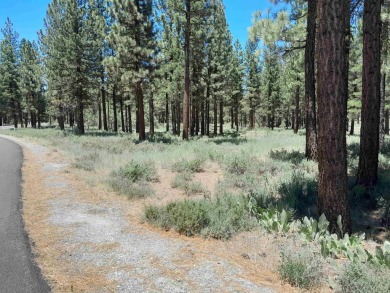 CREEK SIDE HAVEN.ONE OF NAKOMA'S BEST  LOTS.  FLAT EASY BUILD on Nakoma Golf Resort in California - for sale on GolfHomes.com, golf home, golf lot