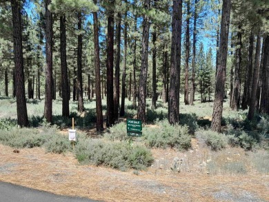 CREEK SIDE HAVEN.ONE OF NAKOMA'S BEST  LOTS.  FLAT EASY BUILD on Nakoma Golf Resort in California - for sale on GolfHomes.com, golf home, golf lot