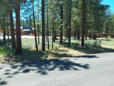 CREEK SIDE HAVEN.ONE OF NAKOMA'S BEST  LOTS.  FLAT EASY BUILD on Nakoma Golf Resort in California - for sale on GolfHomes.com, golf home, golf lot