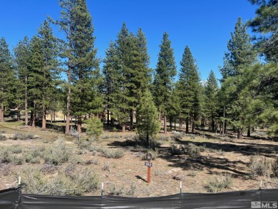 This site is almost a perfect half-acre square -- a fitting on Clear Creek Tahoe in Nevada - for sale on GolfHomes.com, golf home, golf lot