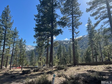 This site is almost a perfect half-acre square -- a fitting on Clear Creek Tahoe in Nevada - for sale on GolfHomes.com, golf home, golf lot
