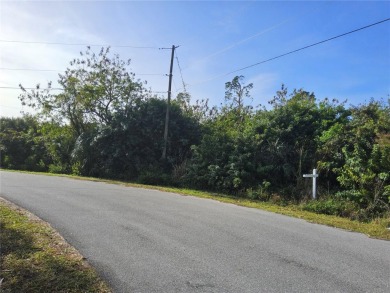 Oversized lot is now available in beautiful North Port. Looking on Bobcat Trail Golf Club in Florida - for sale on GolfHomes.com, golf home, golf lot