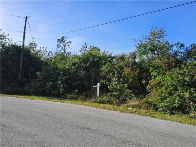 Oversized lot is now available in beautiful North Port. Looking on Bobcat Trail Golf Club in Florida - for sale on GolfHomes.com, golf home, golf lot