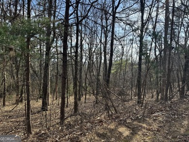 Discover the perfect canvas for your dream home in The Orchard on The Orchard Golf and Country Club in Georgia - for sale on GolfHomes.com, golf home, golf lot