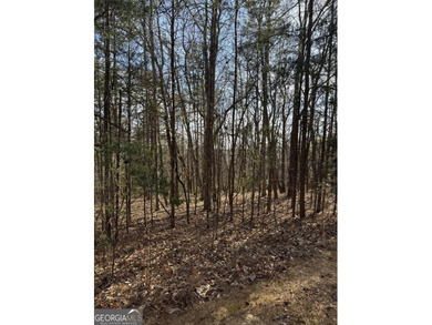 Discover the perfect canvas for your dream home in The Orchard on The Orchard Golf and Country Club in Georgia - for sale on GolfHomes.com, golf home, golf lot