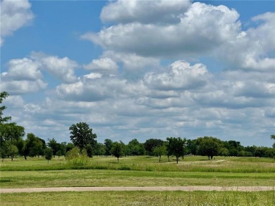 10 ACRE HOMESITE WITH GOLF COURSE VIEWS! This prime property on Pecan Lakes Golf Club in Texas - for sale on GolfHomes.com, golf home, golf lot