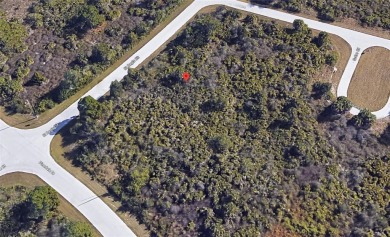 Great oversized vacant lot for sale in Port Charlotte that is 11 on Duffys Golf Center in Florida - for sale on GolfHomes.com, golf home, golf lot