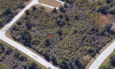 Great oversized vacant lot for sale in Port Charlotte that is 11 on Duffys Golf Center in Florida - for sale on GolfHomes.com, golf home, golf lot