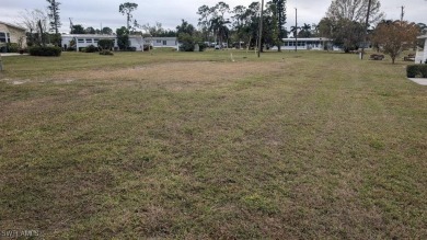 Wow! Here's your opportunity to own the only *Builder Ready* on Lake Fairways Country Club in Florida - for sale on GolfHomes.com, golf home, golf lot
