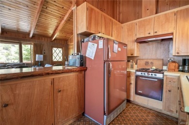 The potential for this cabin is endless. Imagine cozy winter on Big Bear Mountain Ski and Golf Resort in California - for sale on GolfHomes.com, golf home, golf lot