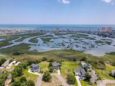 This is one of the LAST marsh-view lots available for sale E of on Tidewater Golf Club and Plantation in South Carolina - for sale on GolfHomes.com, golf home, golf lot