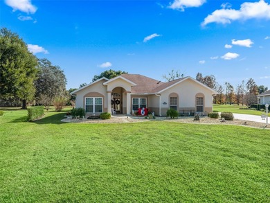 Beautiful Family Neighborhood Golf Course Community in The Lakes on Lakes of Lady Lake Golf Course in Florida - for sale on GolfHomes.com, golf home, golf lot