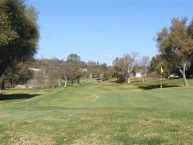On the 6th green!  Seller's loss is your gain!!  He has over 85k on Yosemite Lakes Park Golf Course in California - for sale on GolfHomes.com, golf home, golf lot