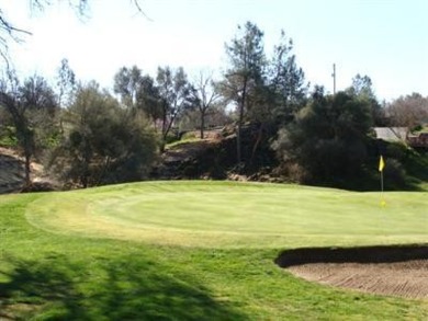 On the 6th green!  Seller's loss is your gain!!  He has over 85k on Yosemite Lakes Park Golf Course in California - for sale on GolfHomes.com, golf home, golf lot