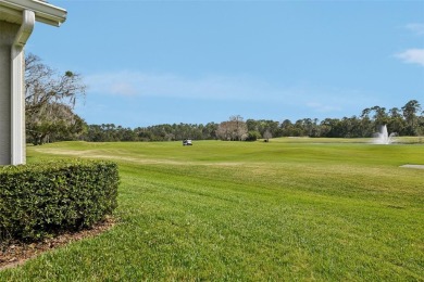 Come check out this little gem in the Country Club of Mount on Country Club of Mount Dora in Florida - for sale on GolfHomes.com, golf home, golf lot