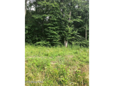 Great Lake Tansi lot! Nice sized level lot. Located on a paved on Lake Tansi Village Country Club in Tennessee - for sale on GolfHomes.com, golf home, golf lot